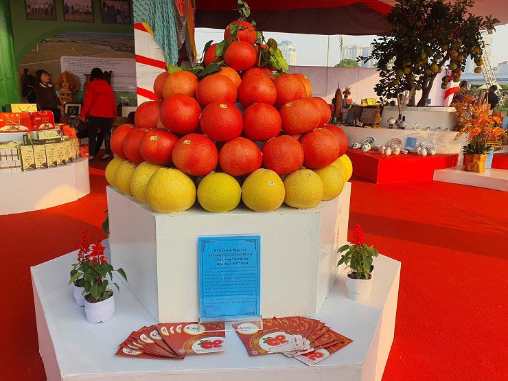 Bưởi đỏ như son có giá 150 nghìn đồng/quả xuống phố, hàng cực độc hút khách-2