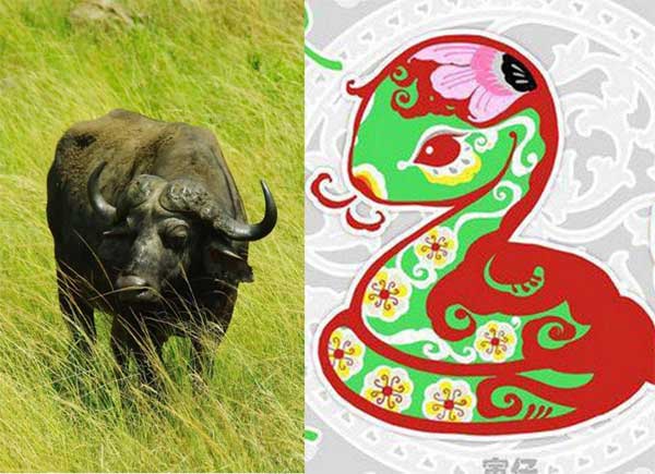 Số trời khó thoát: 3 cặp đôi hết Tam Tai đỏ cả Tình lẫn Tiền trong 4 năm tới, 1 cặp đôi thận trọng-2