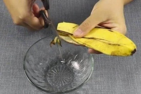 Cắt nhỏ vỏ chuối rồi thêm chút muối, chút bột giặt vào: Chỉ sau 1 đêm, gián 