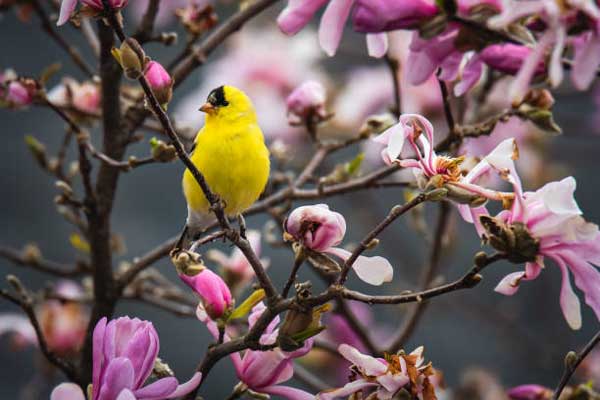 5 ngày nữa, 4 con giáp thành công đáng nể, sự nghiệp một bước lên mây-4