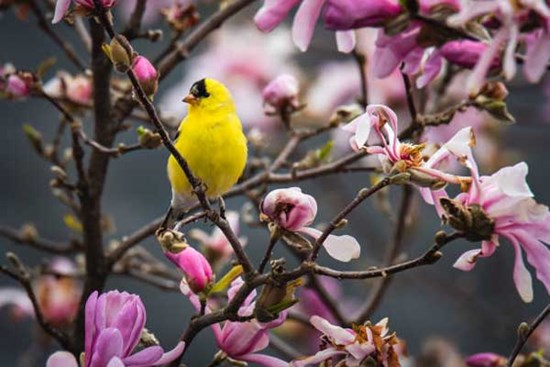 Hết tháng 11 Âm lịch, 4 con giáp không còn vất vả, đón tháng 12 tốt lành, mọi sự suôn sẻ