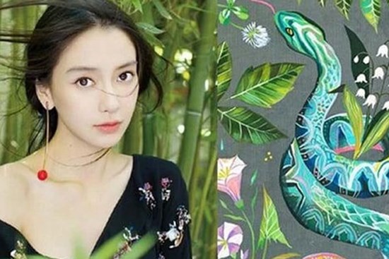 Tử vi Tuổi Tỵ năm 2023: Sự nghiệp lên như diều gặp gió nhưng cẩn trọng điều này