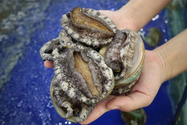 Câu đố Tiếng Việt: Con gì mới sinh ra đã tiêu hao của cải của người dân vùng biển? - Nghe đáp án mà phì cười!-2