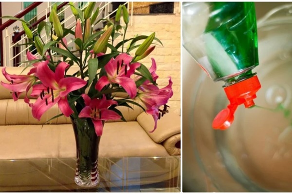 Nhỏ vài giọt nước này vào bình cắm hoa, đảm bảo để 10 ngày hoa vẫn tươi nguyên, mùi thơm tỏa cả phòng-1