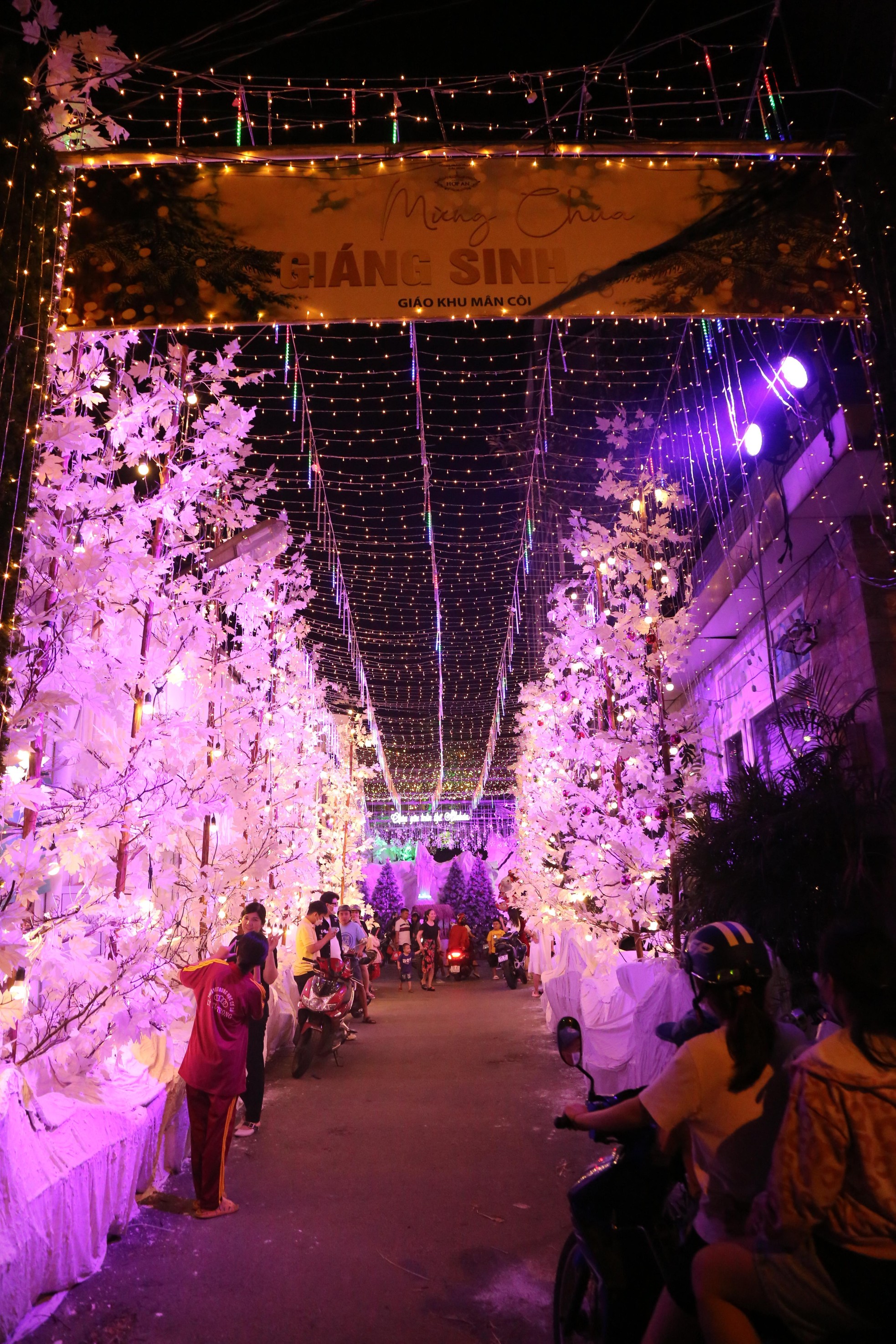 Tuyết phủ trắng nhiều hẻm ở TPHCM, người dân tấp nập đến check-in đón Noel sớm-1