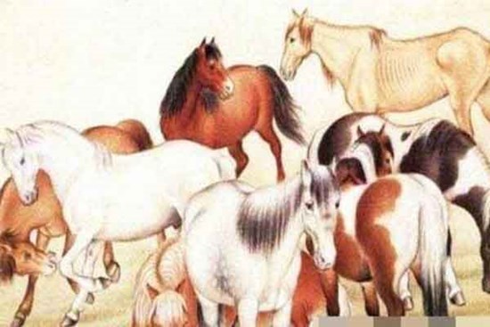 Người tuổi Ngọ sinh vào giờ này được chư Phật phù hộ, số mệnh hưởng phúc!