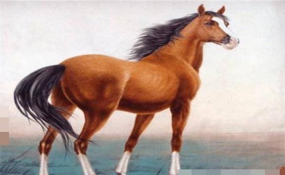 Người tuổi Ngọ sinh vào giờ này được chư Phật phù hộ, số mệnh hưởng phúc!-1