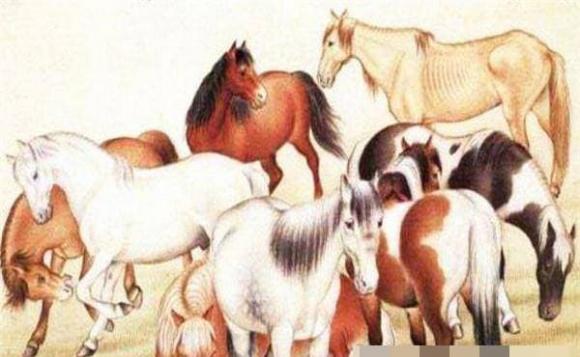 Người tuổi Ngọ sinh vào giờ này được chư Phật phù hộ, số mệnh hưởng phúc!-2