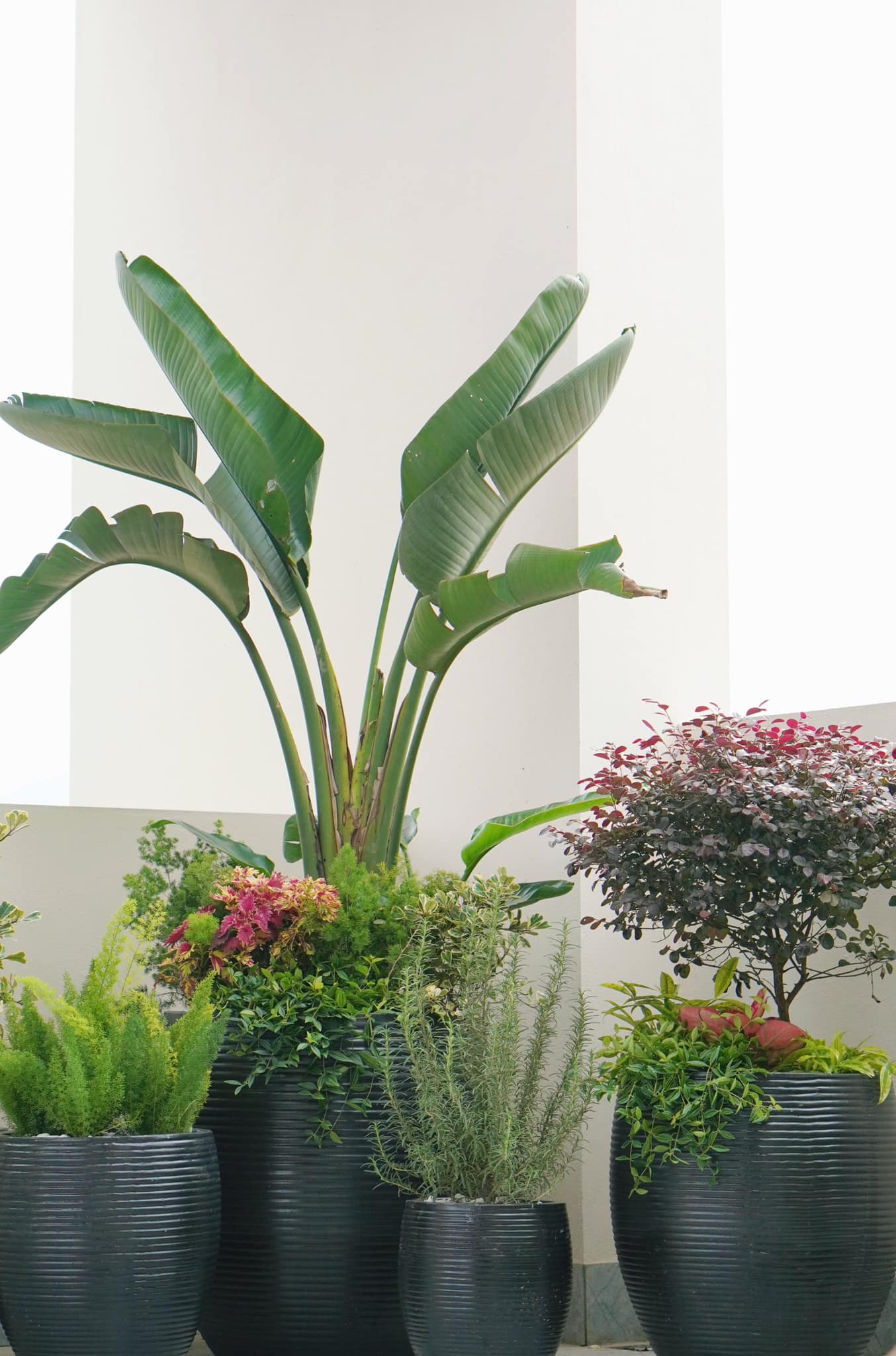 Giấc mơ có thật của chị kiến trúc sư và ngôi nhà nhiều sự xinh yêu khiến mọi cơn bão đều dừng sau cánh cửa-6