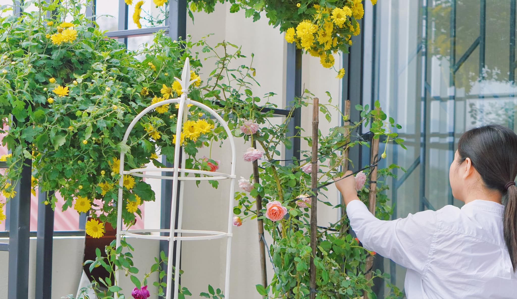 Giấc mơ có thật của chị kiến trúc sư và ngôi nhà nhiều sự xinh yêu khiến mọi cơn bão đều dừng sau cánh cửa-32