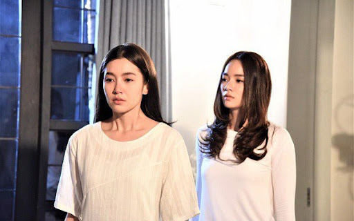 Thuê giúp việc nhưng chồng lại không cho làm gì, lúc tôi đuổi thì chị dọa: Chị đi thì nhà em tan nát-1