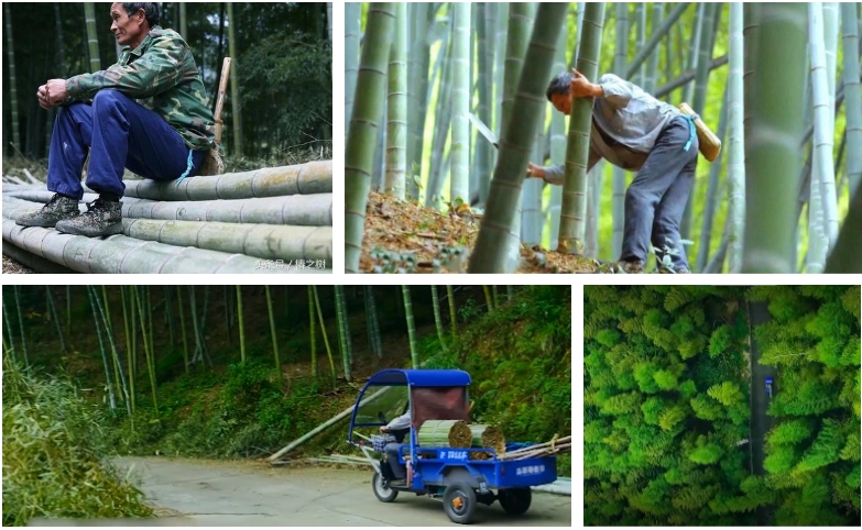 Cụ ông sở hữu khinh công bay lượn trong rừng trúc như phim cổ trang, là phi nhân cuối cùng của Trung Quốc-6