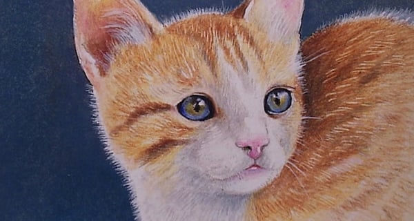 Cuối tháng 11 âm tới Tết 2023: 4 tuổi hợp vía Thần Tài dễ đổi đời giàu có, ăn Tết to nhất vùng-4