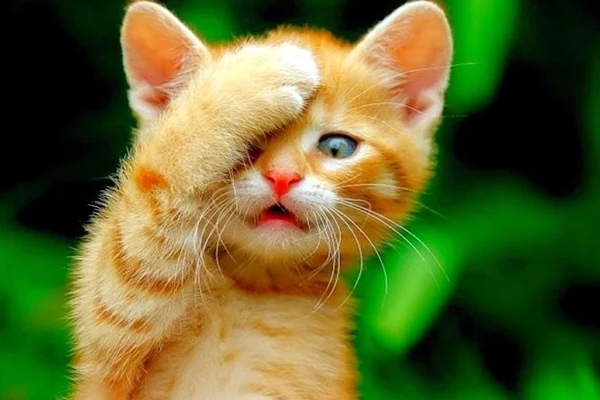 Năm 2022, 3 con giáp không có gì phải hối tiếc, tình tiền viên mãn, cuộc sống thoải mái, dễ chịu-4