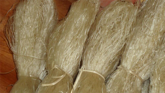 Mua măng khô ngày Tết chỉ cần nhìn trúng điểm này, măng vừa dày lại mềm ngon, không sợ dính hóa chất bảo quản-4