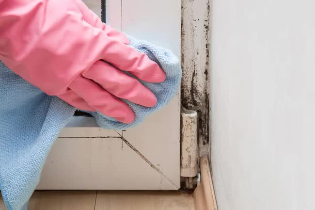 3 loại nấm mốc có thể xuất hiện trong nhà khiến bạn mắc bệnh-5