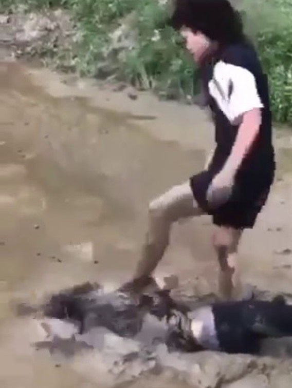 Công an vào cuộc vụ nữ sinh lớp 8 bị đánh tới tấp dẫn tới việc hoảng loạn tinh thần-2