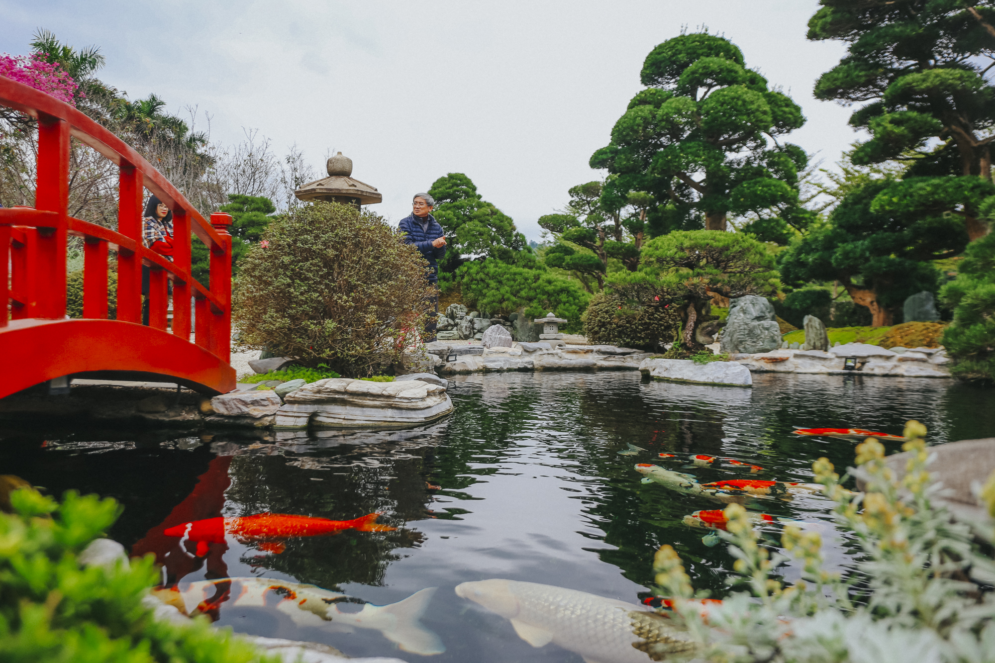 Phó chủ tịch FPT sở hữu biệt thự khủng được phủ kín bằng tùng Nhật và đá quý-4