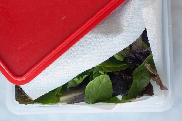 Bảo quản rau đừng cho thẳng vào tủ lạnh, cho thêm 1 tờ giấy ăn vào rau để cả tháng vẫn tươi-2