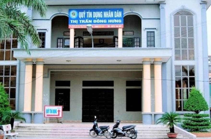 Bắt nữ giám đốc quỹ tín dụng chiếm đoạt hơn 20,6 tỷ đồng-1