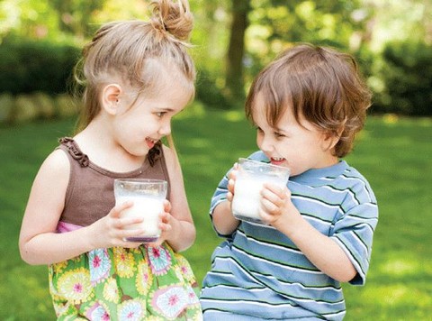 Sữa tươi bổ dưỡng và tiện lợi nhưng trẻ uống nhiều có tốt không?-3