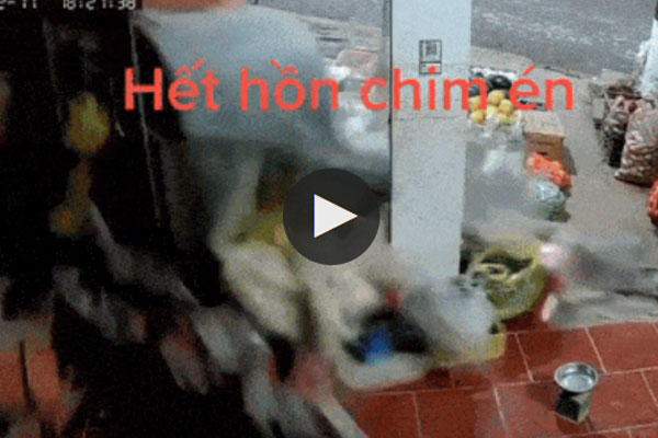 Ô tô mất lái đâm thẳng vào cột điện, người đi bộ may mắn thoát hiểm trong gang tấc-1