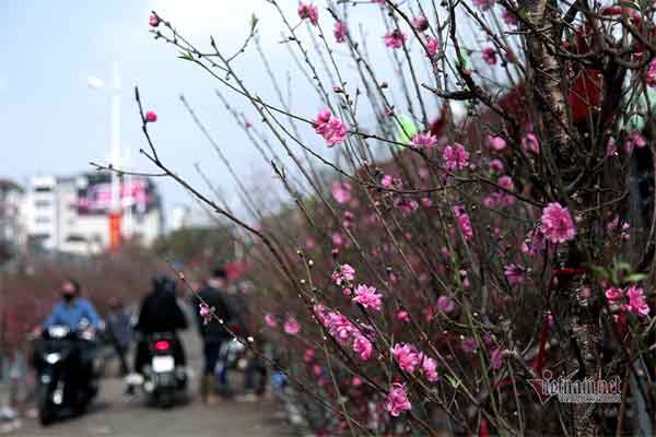 Chị dâu đề nghị góp tiền xây nhà cho tôi về quê sống-1