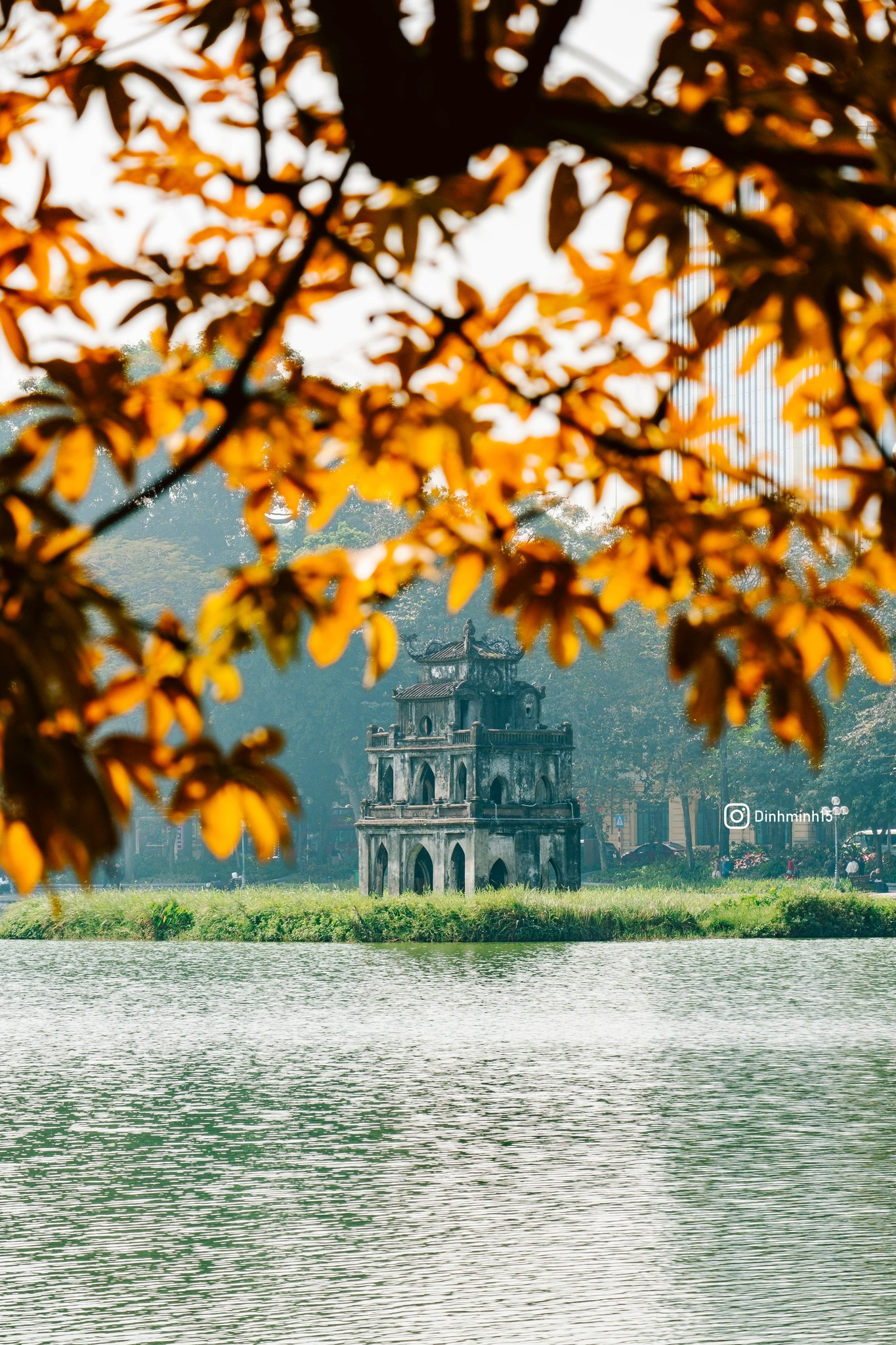 Cây mõ Hồ Gươm thay màu rực rỡ, đẹp tựa trời Âu thu nhỏ giữa Thủ đô-3