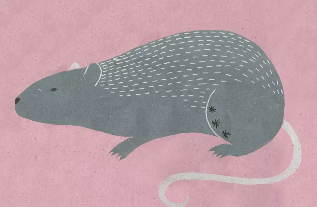 Nửa đầu năm 2023: Bốn con giáp Ngọc Hoàng mở kho, giàu có bất ngờ-3