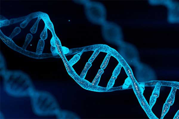 Loài người tiếp tục tiến hóa với sự xuất hiện của 155 gene mới-1