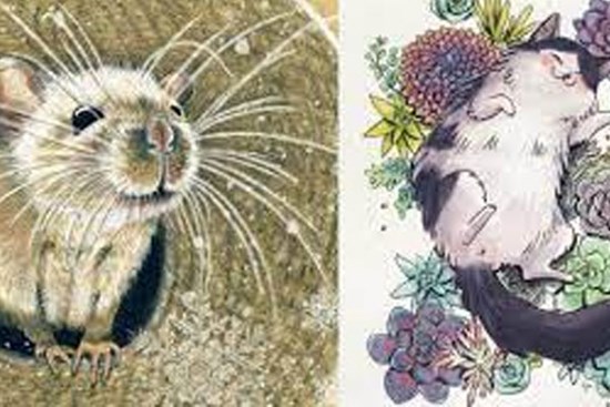 Đúng hôm nay 1/12 âm, 3 con giáp bội thu tài lộc, sắm Tết khủng, 1 tuổi đen hết phần thiên hạ