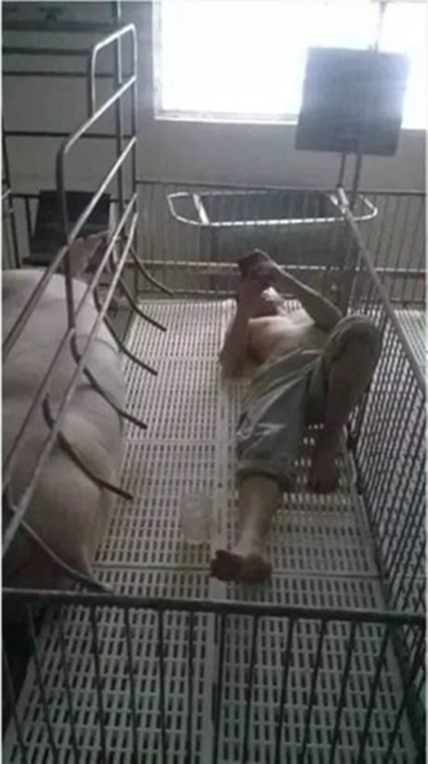 Anh chàng nhận cái kết lạnh ngắt khi thái độ bật nóc nhà-5