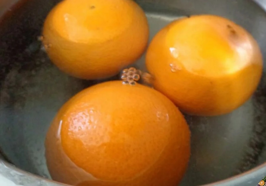 Mua cam cứ nhìn lướt điểm này, chỉ 1 giây là biết cam Trung Quốc hay Việt Nam-4