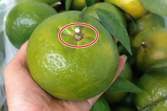 Mua cam cứ nhìn lướt điểm này, chỉ 1 giây là biết cam Trung Quốc hay Việt Nam