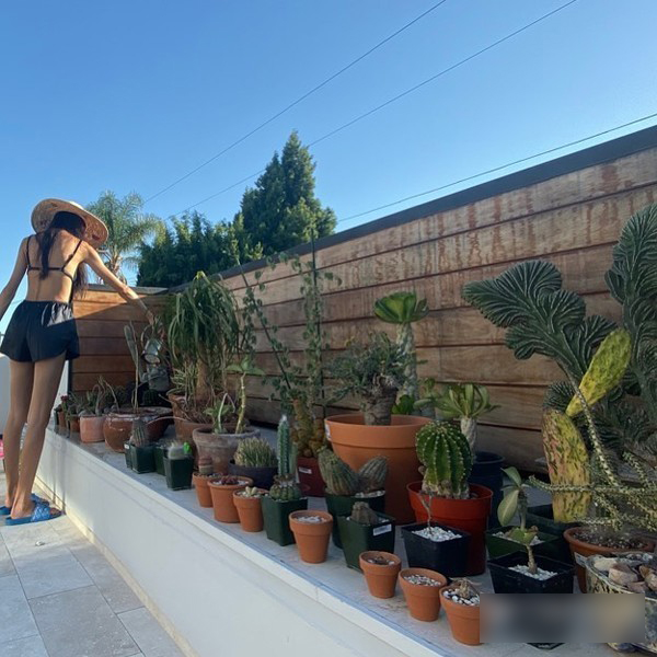 Biệt thự triệu đô ở Mỹ của trai hư Trần Quán Hy-3