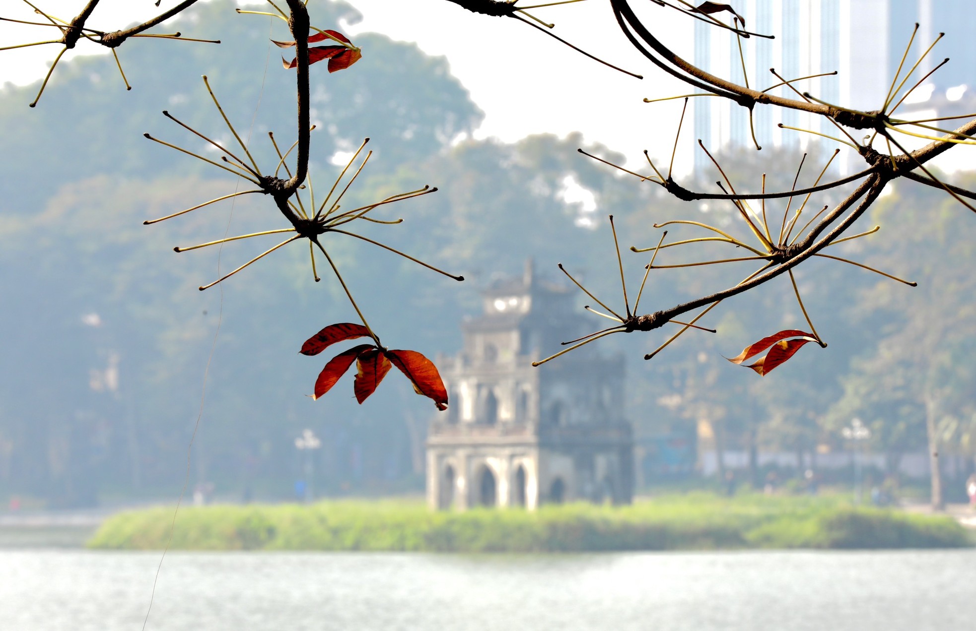 Xao xuyến vẻ đẹp Hồ Gươm khoảnh khắc giao mùa-7