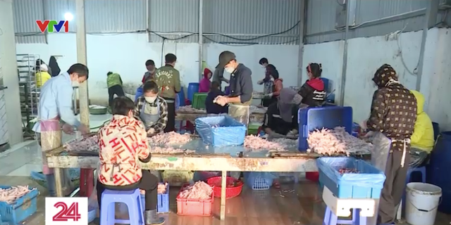 Chân gà bẩn bốc mùi đội lốt” hàng chất lượng tuồn ra thị trường-5