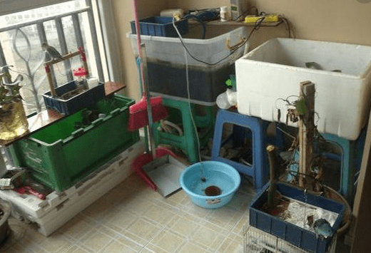 Ban công nhà mà để thế này sẽ bị thất thoát tài chính, cẩn thận tiền tài không cánh mà bay-1