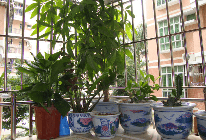 Ban công nhà mà để thế này sẽ bị thất thoát tài chính, cẩn thận tiền tài không cánh mà bay-2