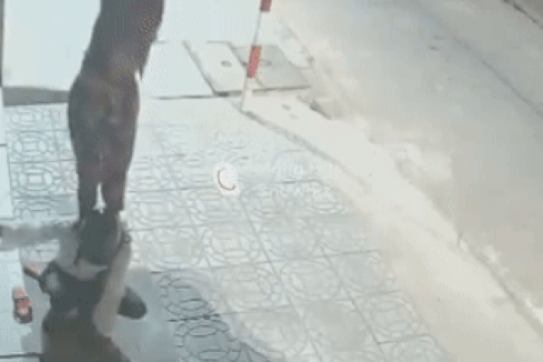 VIDEO: Người dân hào hứng check-in tại vườn hoa hướng dương rộng 12.000m2-1