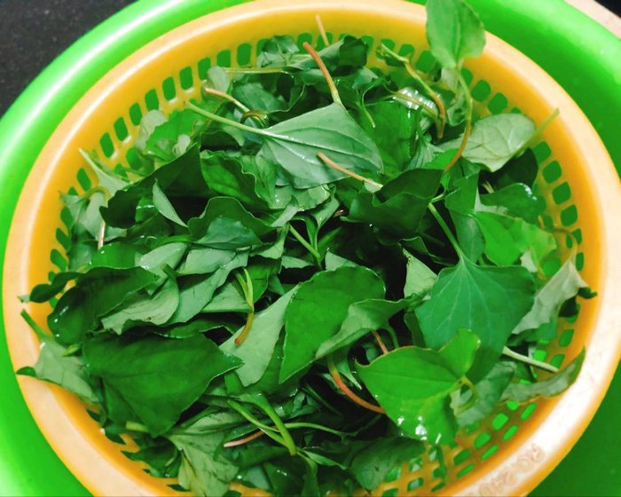 Trẻ bị chân tay miệng nên tắm lá gì?-3