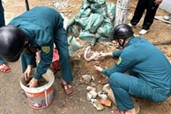 Tá hỏa phát hiện 10 quả lựu đạn dưới vỉa hè tại Đà Nẵng