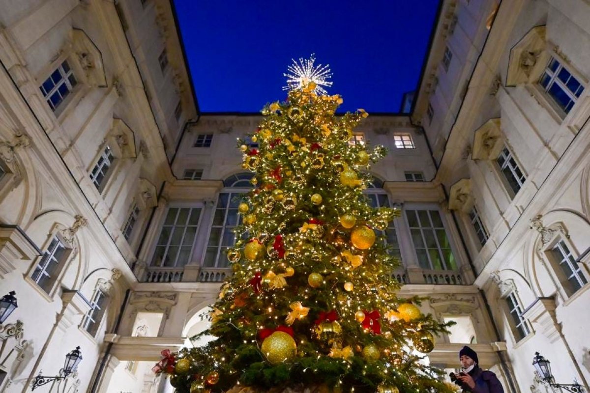 Chiêm ngưỡng những cây thông Noel độc đáo và hoành tráng trên thế giới-13