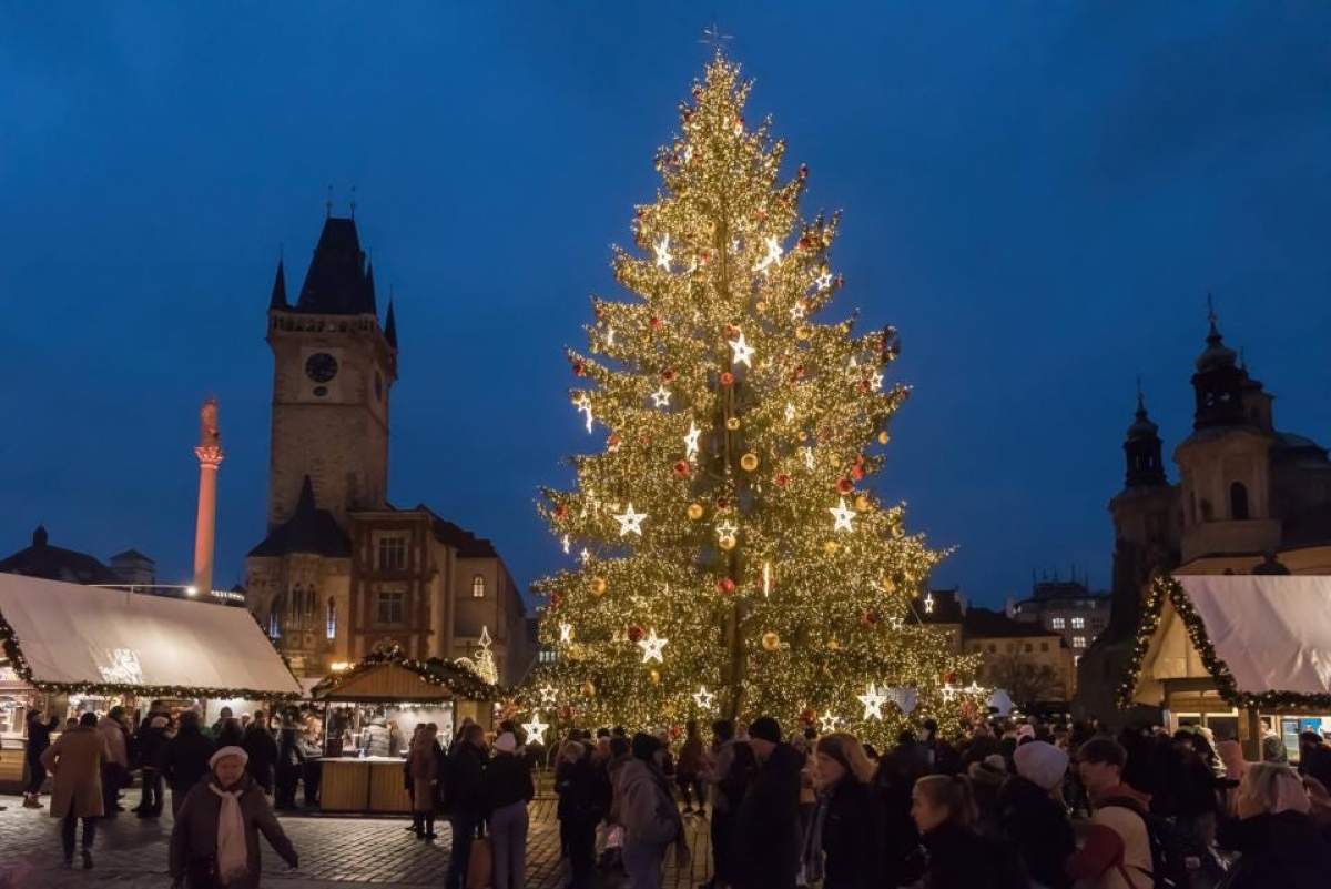 Chiêm ngưỡng những cây thông Noel độc đáo và hoành tráng trên thế giới-9