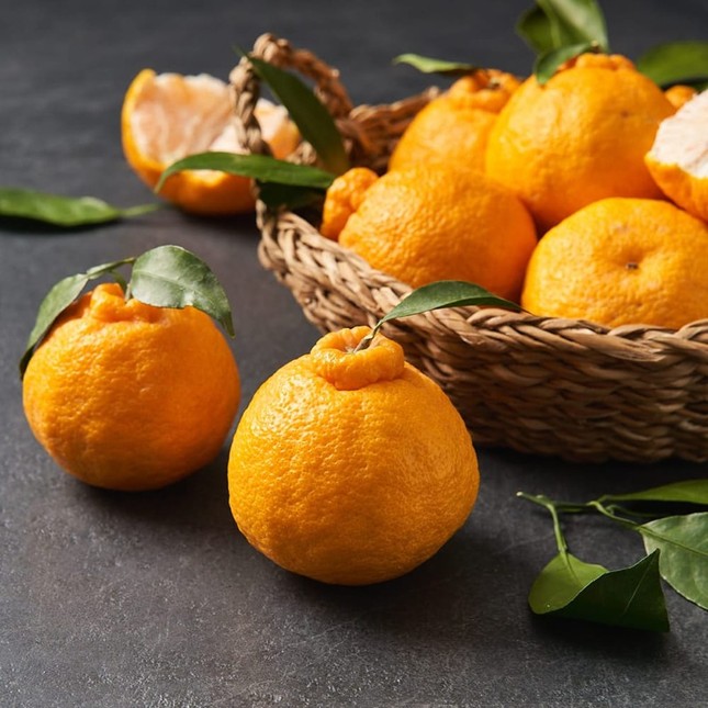 Táo ngôi sao lạ mắt, quýt 300.000 đồng/quả dịp Tết-2