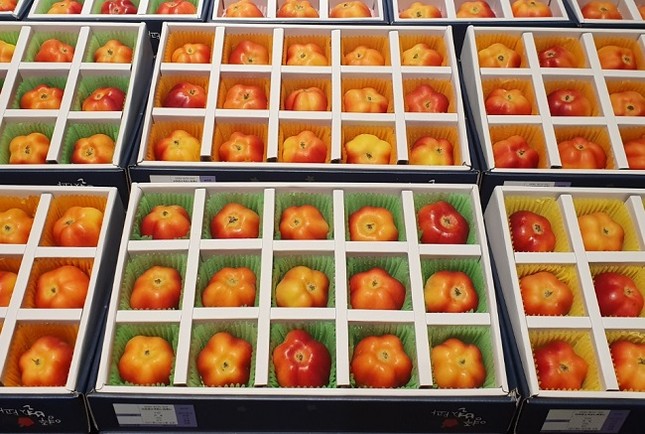 Táo ngôi sao lạ mắt, quýt 300.000 đồng/quả dịp Tết-3