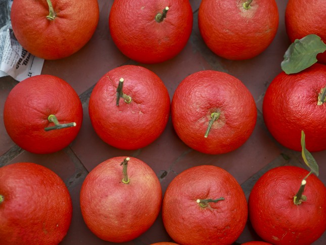 Táo ngôi sao lạ mắt, quýt 300.000 đồng/quả dịp Tết-5