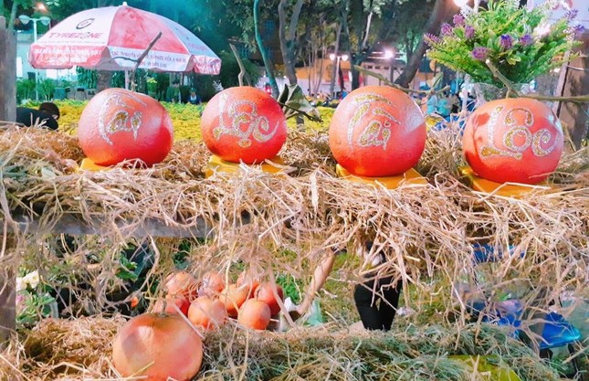 Táo ngôi sao lạ mắt, quýt 300.000 đồng/quả dịp Tết-6