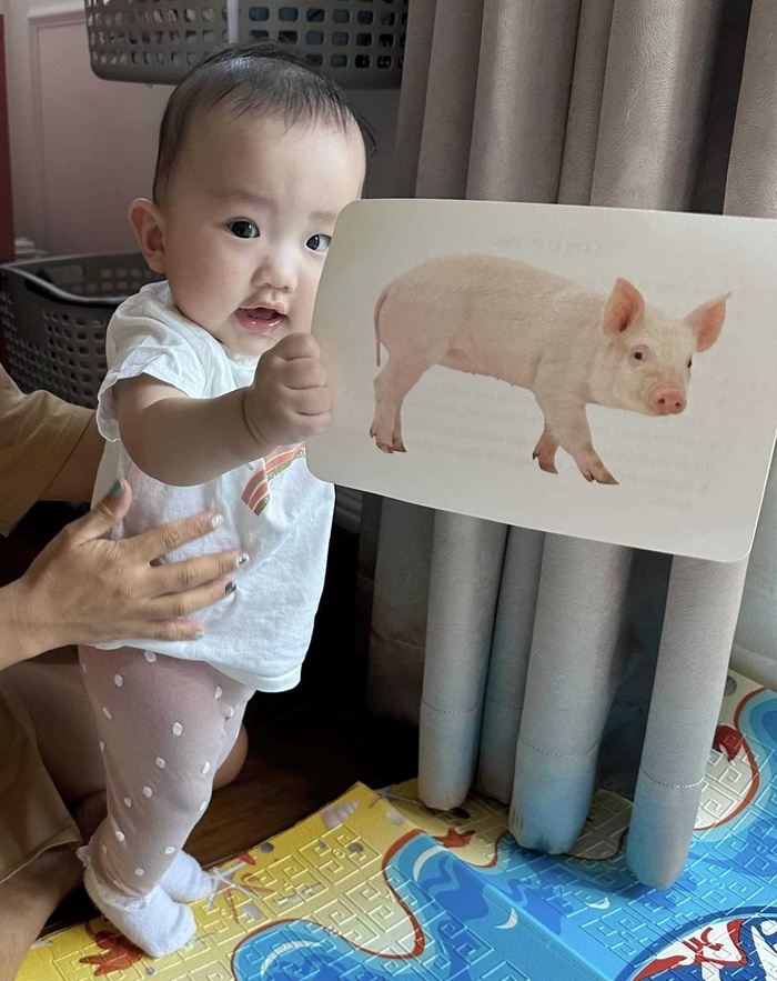 Thanh Vân Hugo cho ái nữ 6 tháng tuổi khám phá thế giới ngay trong phòng, dân mạng ồ lên cưng xỉu-3