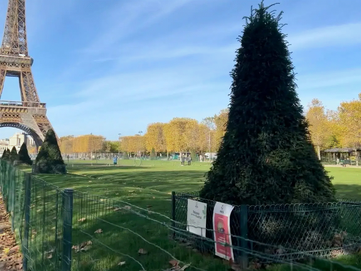 Cứ mong đến Paris xem tháp Eiffel, cô gái nhận ra không bao giờ nên tin ảnh sống ảo-4